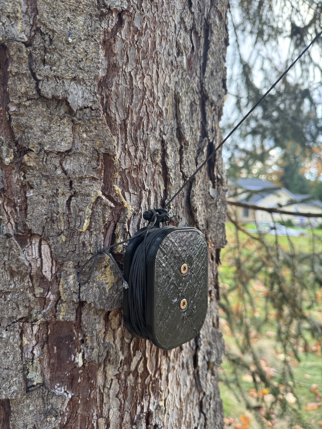 Spool of rope attached to a tree